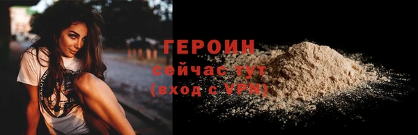 дживик Няндома