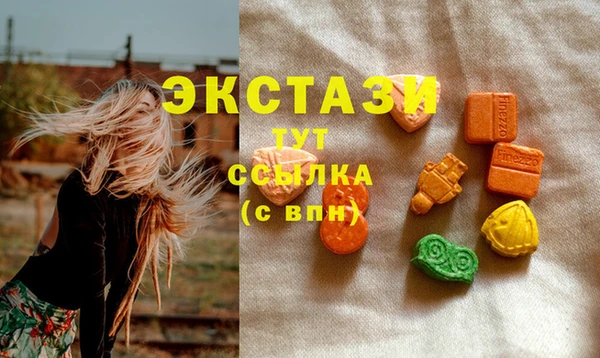 дживик Няндома