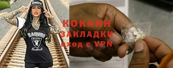 шишки Щёлкино